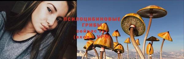 Альфа ПВП Абдулино